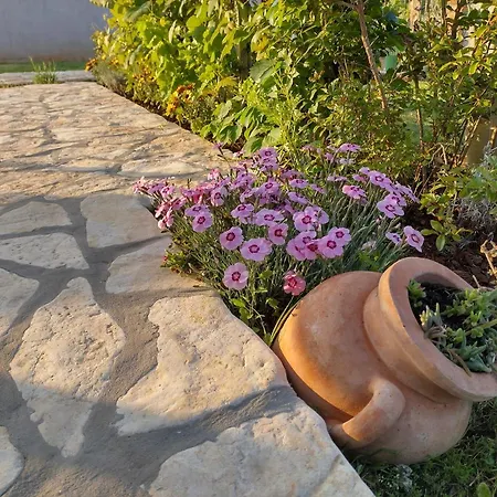 Apartment Bernarda 2 Porec